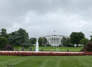 Comienzan apuestas por elecciones en EE. UU. minutos después que juez las permite elecciones