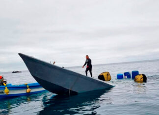 Impacto del crimen organizado en América Latina: “Un tercio de los asesinatos a nivel mundial ocurren en la región” crimen