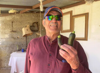 Por qué todos deberíamos plantar flores o vegetales Plantas y flores , Plants and flowers