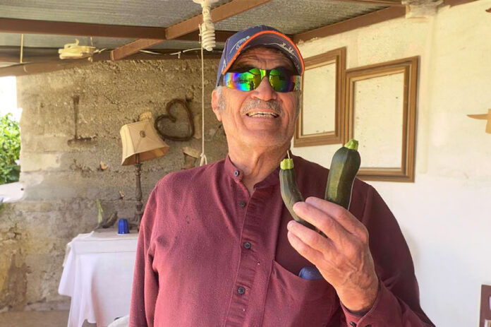 cultivar-plantas-flores-y-vegetales Plantas y flores , Plants and flowers