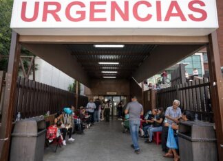 La OMS reporta en México la primera muerte humana por gripe aviar en el mundo OMS