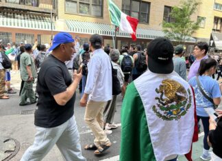 Miles de mexicanos se quedan sin poder votar en EE. UU. ante un ente electoral desbordado votar