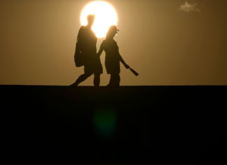 Copa América y olas de calor: ¿cómo cuidarse de las altas temperaturas? temperaturas