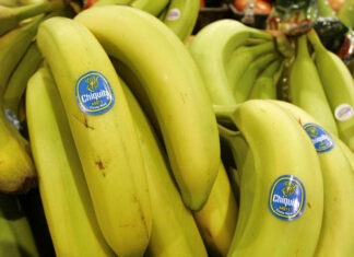 Jurado de Florida falla que Chiquita Brands es responsable de asesinatos en guerra civil de Colombia Chiquita Brands
