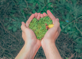Día Mundial del Medio Ambiente, 5 de junio ambiente