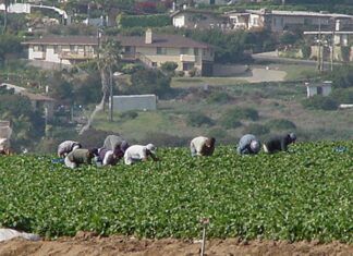 Uno de cada cuatro trabajadores en EE.UU. gana menos de 17 dólares la hora, la mayoría latinos trabajadores