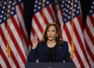 Harris usa su pasado como fiscal para atacar a Trump: «Sé bien cómo son los de su calaña» pasado