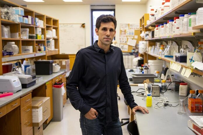 0f0ecbd46487b9a040478921f1233df5f85fa6ccminiw moléculas