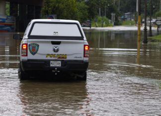 Puerto Rico sufrió 23 millones de dólares en pérdidas en el sector agrícola por Ernesto