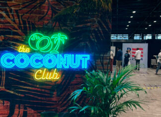 Cocos, “brat” y gatos: ¿Cómo ha influido la cultura popular en la campaña de Kamala Harris? Kamala Harris