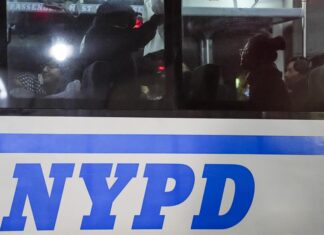 Extrabajador de parques en Nueva York acusado de asesinar venezolano por odio a migrantes migrantes