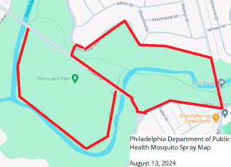 Health Department to spray for mosquitoes in Pennypack and Fairmount parks mosquitoes