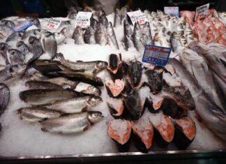 Investigadores apuntan una posible relación entre el «anisakis» y el cáncer de colon anisakis