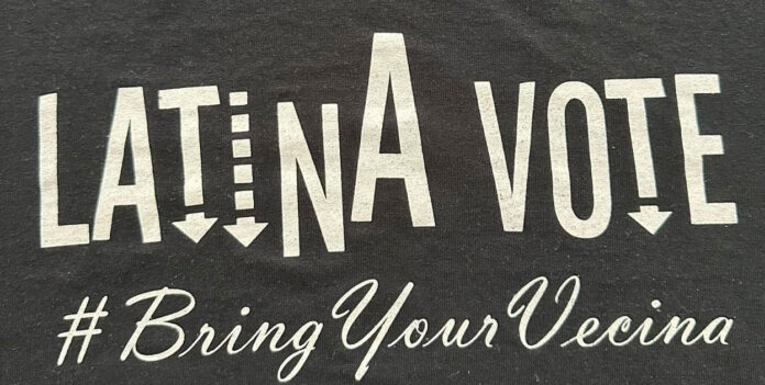 La-crucial-importancia-del-voto-latino-en-noviembre vote