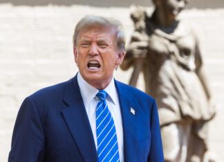 Republicana de Arizona se declara culpable de interferencia electoral a favor de Trump Trump