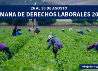 Semana de Derechos Laborales: la ley federal nos protege a TODOS Laborales