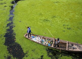 Cada año se liberan más de 52 millones de toneladas de plásticos al medioambiente