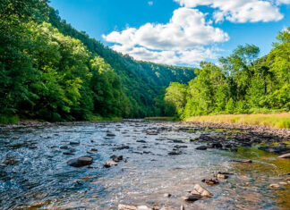 DCNR to host programs for girl scouts love state parks weekend DCNR