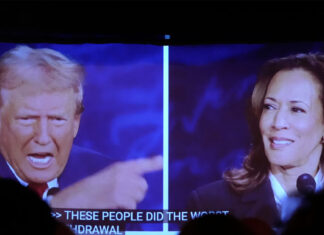 Gatos al carbón BBQ cats