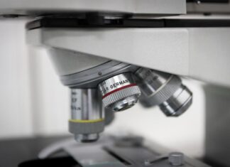 Científicos descubren anticuerpos capaces de frenar los efectos letales de los opioides opioides