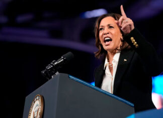 Harris anuncia plan para brindar a hombres negros mayores oportunidades económicas Harris