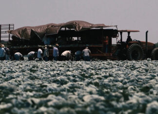 Cómo una regla federal propuesta sobre el calor podría haber salvado la vida de trabajadores agrícolas calor