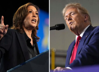New analysis suggests national debt could increase under Harris, but it would surge under Trump Harris