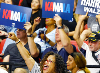 To vote or not to vote: the question we face vote