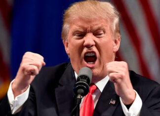 An open letter to my MAGA neighbor: finding common ground in divisive times MAGA