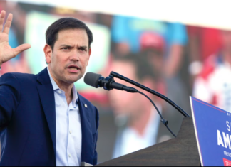 Trump elige al senador Marco Rubio como secretario de Estado: medios Marco Rubio