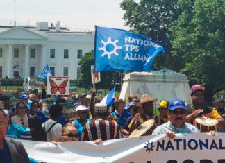 Inmigrantes bajo programas temporales en EE. UU. ¿en mayor riesgo de deportación con Trump? Trump