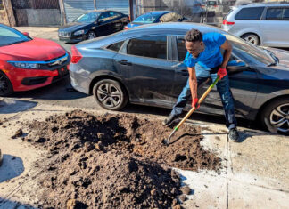 La plantación de árboles renueva la esperanza de justicia ambiental plantación
