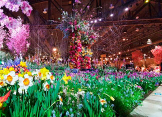 PHS launches limited-Time Only, holiday sale for 2025 Philadelphia Flower Show, “Gardens of Tomorrow” Philadelphia Flower Show