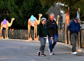 ¿Por qué caminar es tan bueno para la salud? salud