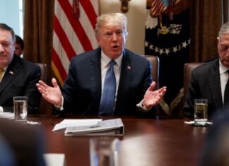 Larga lista de posibles candidatos para nuevo gabinete espera evaluación del equipo de Trump gabinete