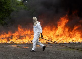 Incineran en República Dominicana la histórica incautación de 9,8 toneladas de cocaína República Dominicana