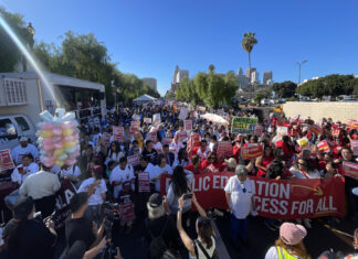 Inmigrantes en EE.UU. envían en su día un mensaje de unidad y resistencia a Donald Trump