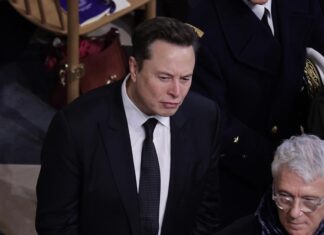 Musk se une a la pelea entre Trump y Trudeau e insulta al canadiense Musk