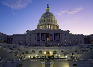 An orchestra of whistleblowers: guarding democracy against tyranny democracy