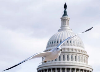 Los estados se preparan para apoyar o frenar los planes de Trump para un segundo mandato republicanos