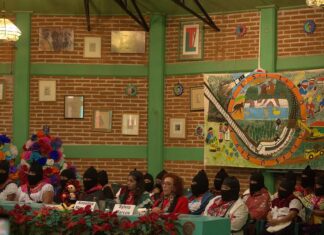 Mujeres indígenas cuestionan el impacto real de las reformas de Sheinbaum indígenas