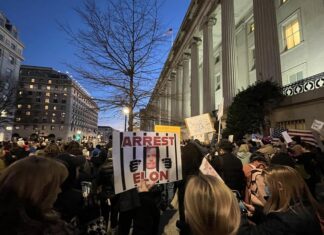 Manifestación multitudinaria en Washington contra el rol de Musk en el Gobierno federal Washington