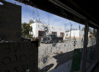 Un vistazo a los grupos criminales declarados como «terroristas» por Donald Trump grupos criminales