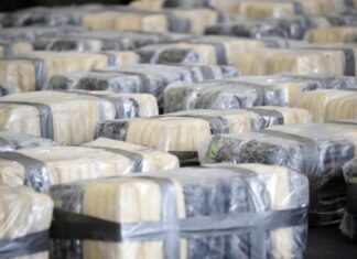 Canadá también declara terroristas a los cárteles de la droga mexicanos Canadá