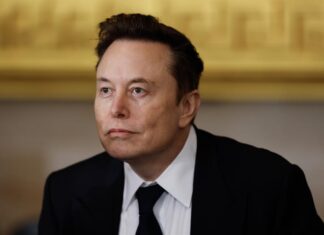 Provincia canadiense suspende 100 millones de dólares de contratos con Elon Musk
