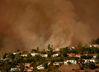 ¿Sobreviviste a un desastre y luchas con tu salud mental? Consejos para cuidarte desastre