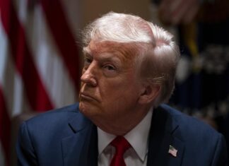 Trump cede protagonismo a Musk en una primera reunión de gabinete marcada por la guerra Trump