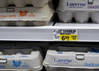 The heist of 100,000 eggs in Pennsylvania becomes a whodunit that police have yet to crack eggs