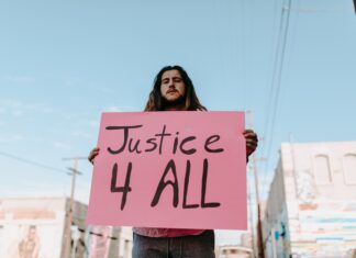 Irreversible Citizenship Stripping Citizenship