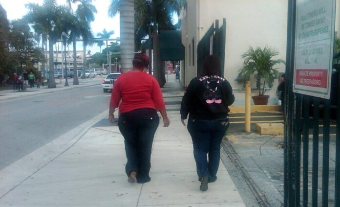 577700cbfa236f53a57448adc840b93195fd233fminiw obesidad